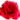 �f�R���G�����b�K�N