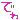 �f�R���G�����b