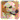 �f�R���G�����b���u���h�[�����g���o�[