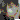 �f�R���G�����b�j�m