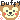 �f�R���G�����b�_�b�t�B�[