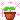 ☆花が咲く☆