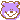 �f�R���G�����bBear Purple