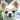 �f�R���G�����b