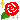 �f�R���G�����b�K�N��