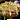 �f�R���G�����b���D�ݏĂ�