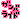 �f�R���G�����b�K���o���C�h