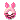 �f�R���G�����bDONUTS�߸�گ�