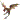 �f�R���G�����b���I���E�X