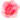 �f�R���G�����b�K�N