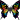 �f�R���G�����b��