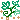 ｱｲﾋﾞｰ  植物