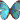 �f�R���G�����bbutterfly