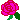�f�R���G�����b�K�N