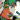 fRGb