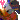 �f�R���G�����b�h�i���h