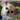 �f�R���G�����b