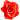 �f�R���G�����b�K�N