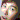 �f�R���G�����b�s�u�w�p�T