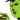 �f�R���G�����b����