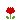�f�R���G�����b�`���[���b�v