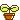 �f�R���G�����b�o�t