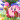 �f�R���G�����b