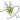 �f�R���G�����b�X�g���C�N