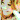 �f�R���G�����b����J�i