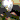 �f�R���G�����b