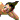 �f�R���G�����b�S�r�A�g�k_�E