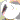 �f�R���G�����b�ɂ�񂱐搶