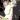 �f�R���G�����b���c�Җ�