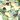 �f�R���G�����b�����~�N