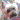 �f�R���G�����b
