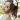 �f�R���G�����b