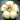 �f�R���G�����b�a�َq1