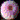 �f�R���G�����b�a�َq5