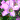 �f�R���G�����b��