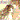 �f�R���G�����b���𒮂�����
