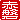 �f�R���G�����b