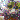 fRGbިư